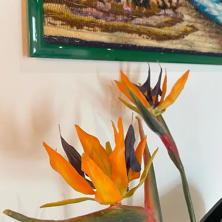 Michelangiolo شقة