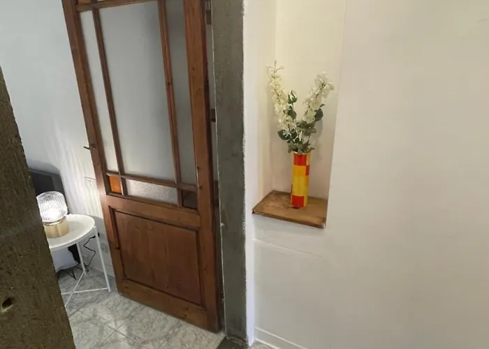 Apartment Michelangiolo *