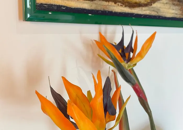 Michelangiolo Apartment