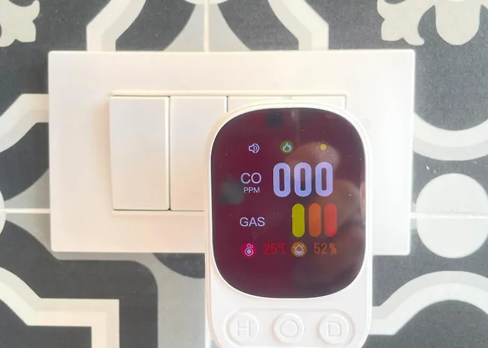 Michelangiolo * Florence